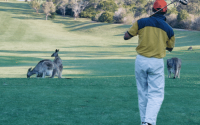 Metromix Annual Charity Golf Day